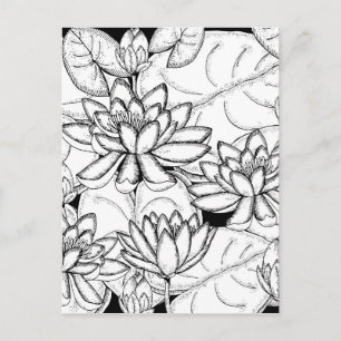 Postal Color de sus propias flores de Lotus