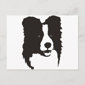 Postal Color del borde