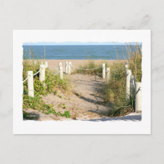 Postal Color Florida Beach Dune Rope Walk Photo