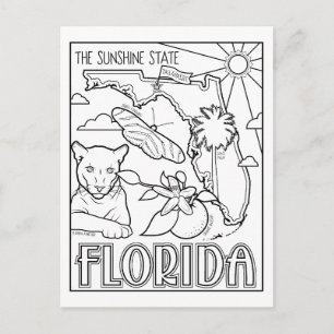Postal color florida me collage