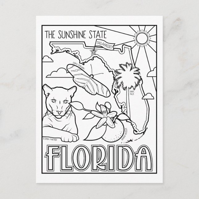 Postal color florida me collage (Anverso)