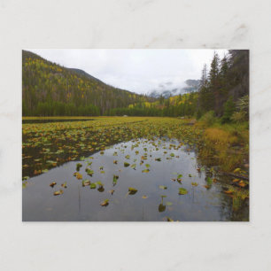 Postal Color otoñal en Cub Lake