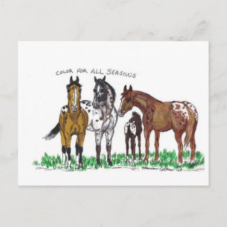 Postal Color para todas las estaciones