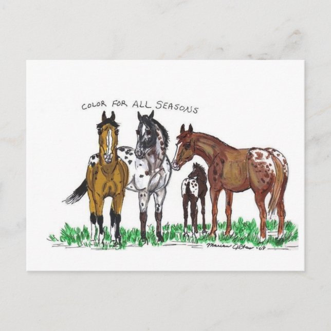 Postal Color para todas las estaciones (Anverso)