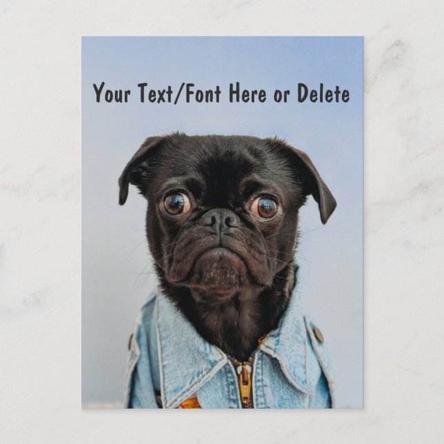 Postal Color Personalizado lindo/Texto Negro Pug Perro co (Anverso)