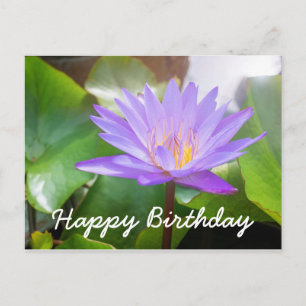 Postal Color púrpura de flores de Lotus con almohadilla d