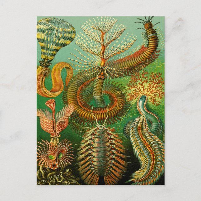 Postal Color submarino (Anverso)