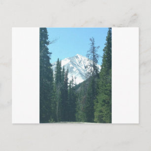 POSTAL COLORADO