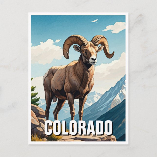 Postal Colorado Bighorn, recuerdo de viajes de ovejas (Anverso)