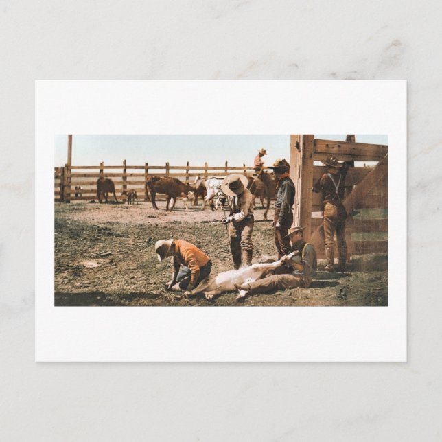 Postal Colorado Branding 1904 (Anverso)