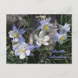 Postal Colorado Columbine