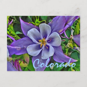 Postal colorado en columbina