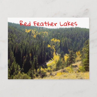 Postal Colorado Forest Pines Con Apeno Otoño Amarillo
