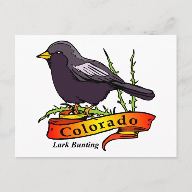 Postal Colorado Lark Bunting (Anverso)
