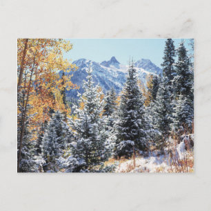 Postal Colorado, montañas de San Juan, primera nieve