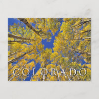 Colorado Otoño | Bosque de Aspen en Otoño Gracias