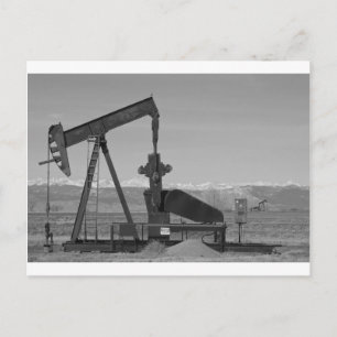 Postal Colorado Rocky Mountain Oil Wells Bw