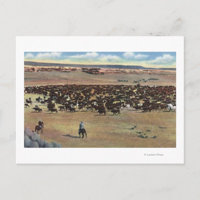 Postal Colorado - Rounding Cowboys (Anverso)