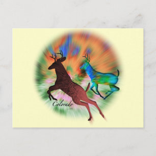 Postal Colorado salvaje