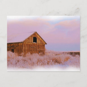 POSTAL COLORADO SHED POSTCARD