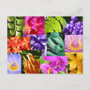 Postal Coloréeme feliz