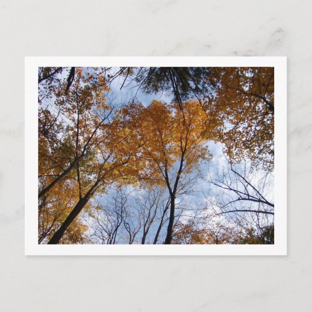 Postal Colores autum y cielo (Anverso)