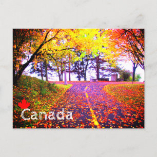Postal Colores Brillantes Sendero para Bicicletas Otoño C