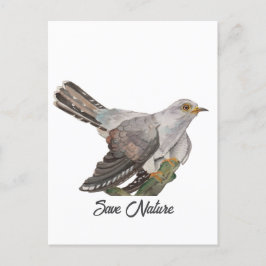 Postal Colores de agua pintando un cuco