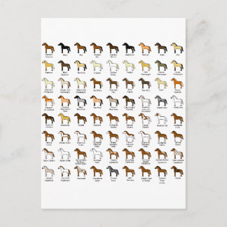 Postal Colores de caballos
