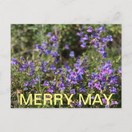 Postal Colores de California: Feliz Mayo