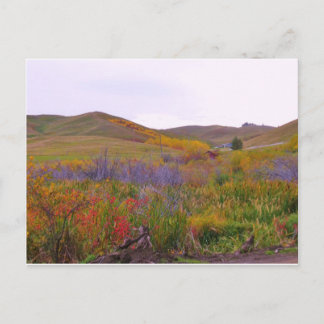 Postal Colores de montaña