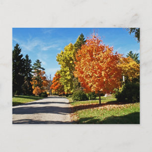 Postal Colores de otoño en Cincinnati