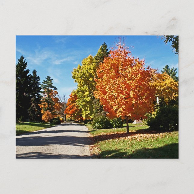 Postal Colores de otoño en Cincinnati (Anverso)
