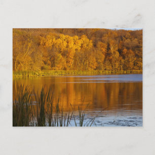 Postal Colores de otoño en el Parque Estatal Maplewood ce