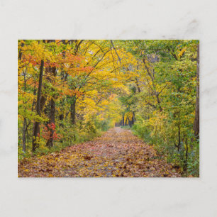 Postal Colores de Otoño en Independence State Park