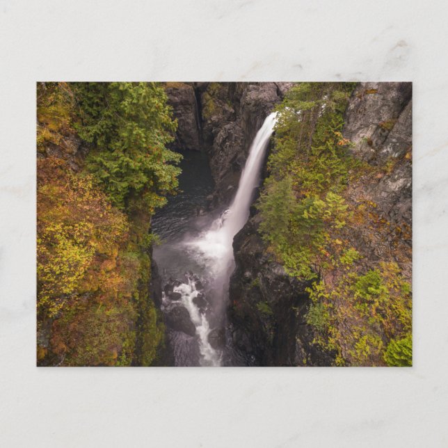 Postal Colores De Otoño En Las Cataratas Elk (Anverso)