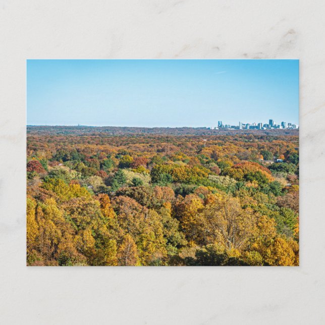 Postal Colores de otoño en Reston Virginia (Anverso)