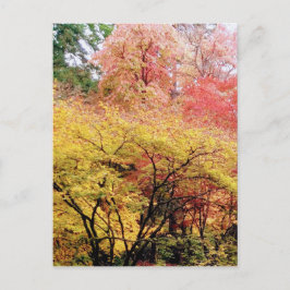 Postal Colores de otoño en Seattle