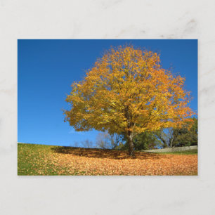 Postal Colores de otoño, Virginia Occidental