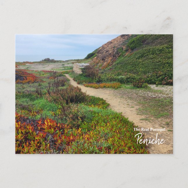 Postal Colores de Peniche-Portugal (Anverso)