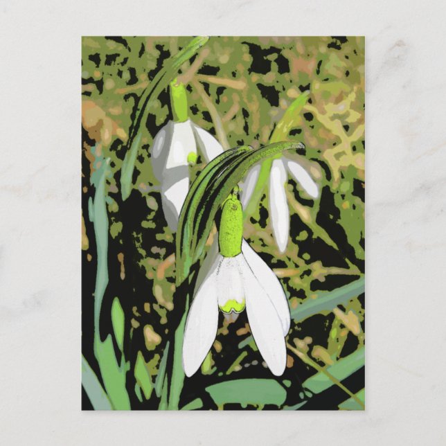 Postal Colores de primavera (Anverso)