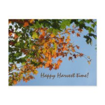 Colores de septiembre