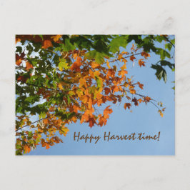 Postal Colores de septiembre