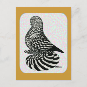 Postal Colores de Tumbler de Splash