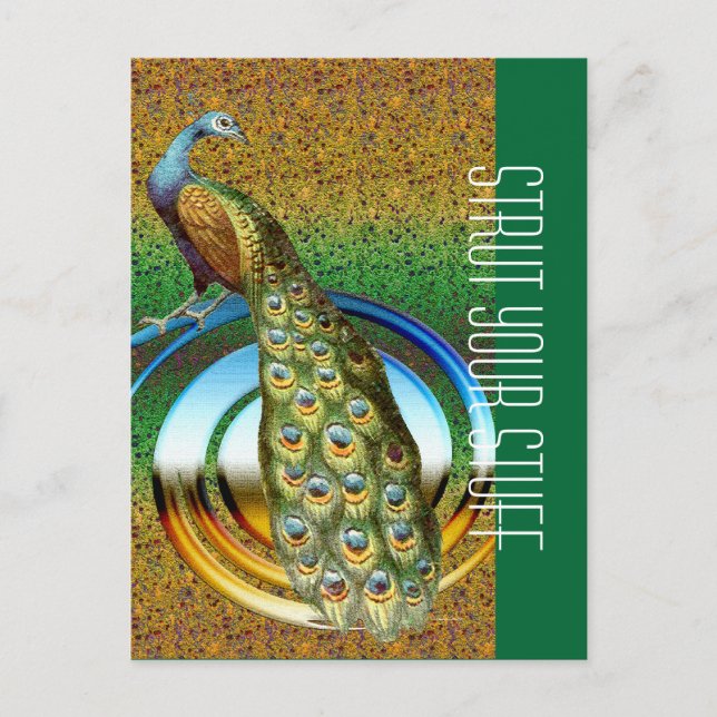Postal Colores de un pavo real (Anverso)