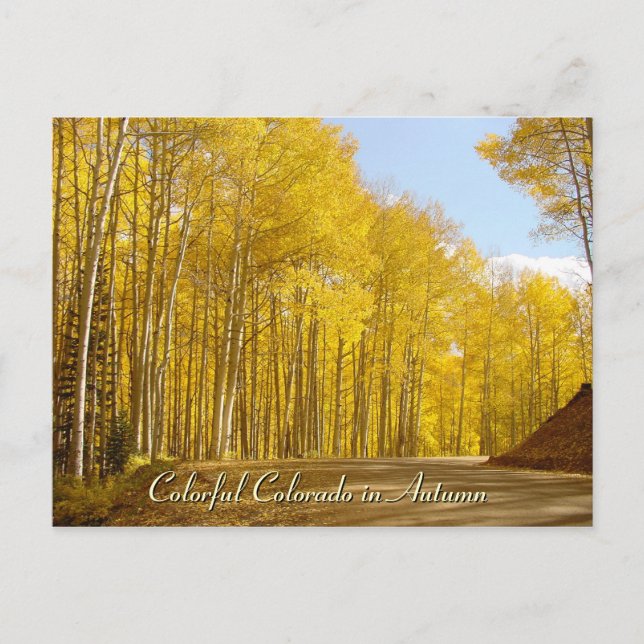 Postal Colorful Colorado en otoño (Anverso)