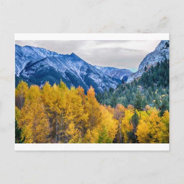 Postal Colorful Crested Butte Colorado (Anverso)