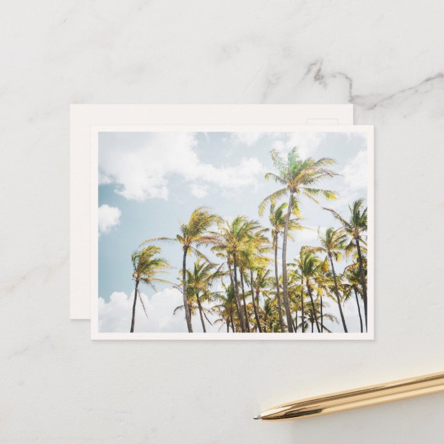 Postal Colorful Palm Trees in Hawaii Blank (Anverso/Reverso In Situ)
