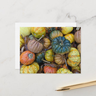 Postal Colorful Pumpkin Postcard