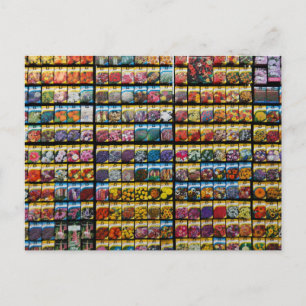 Postal colorida del paquete de semillas